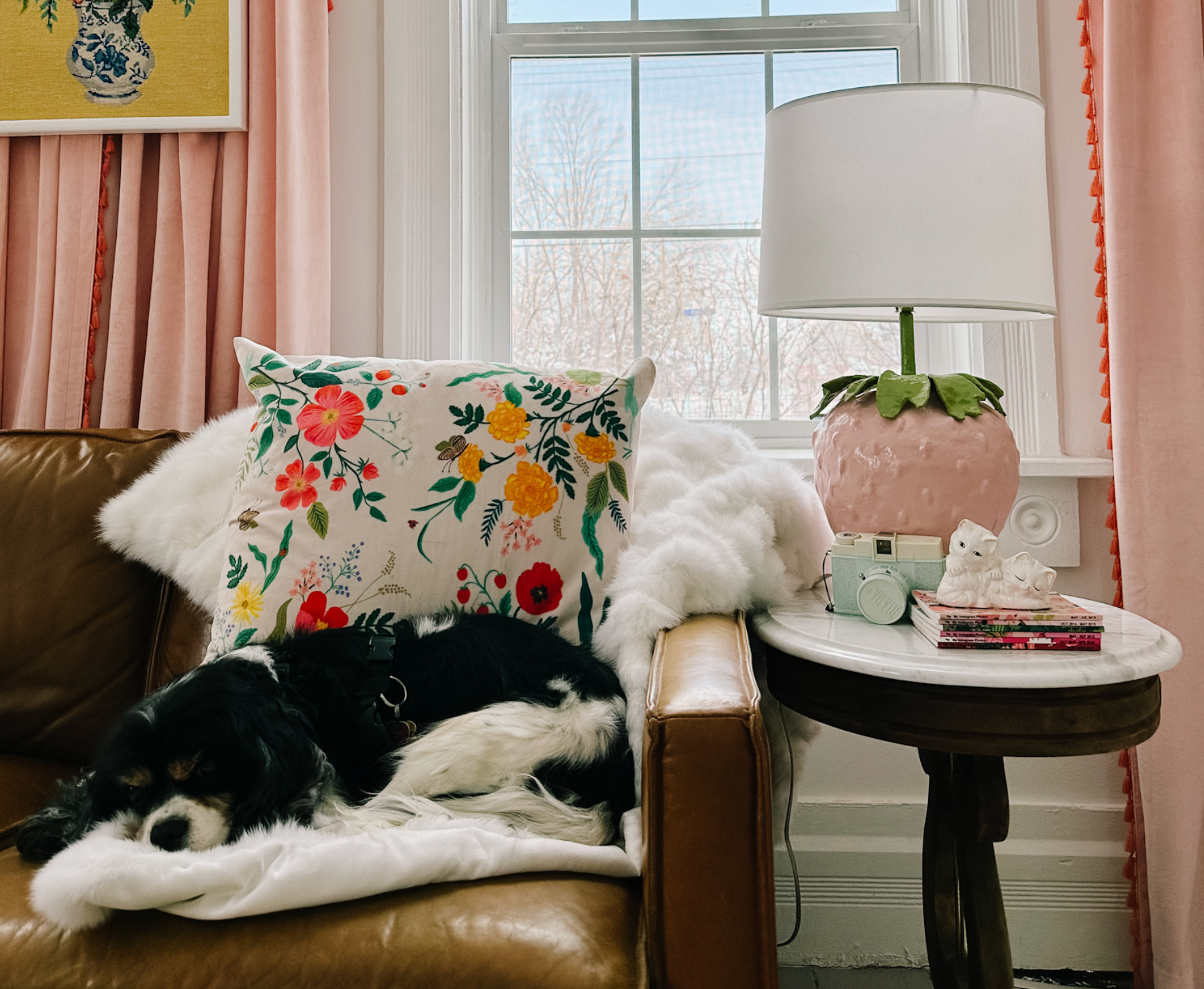 A Winter Garden: A Stray Dog Home Tour with Ashley Wilson