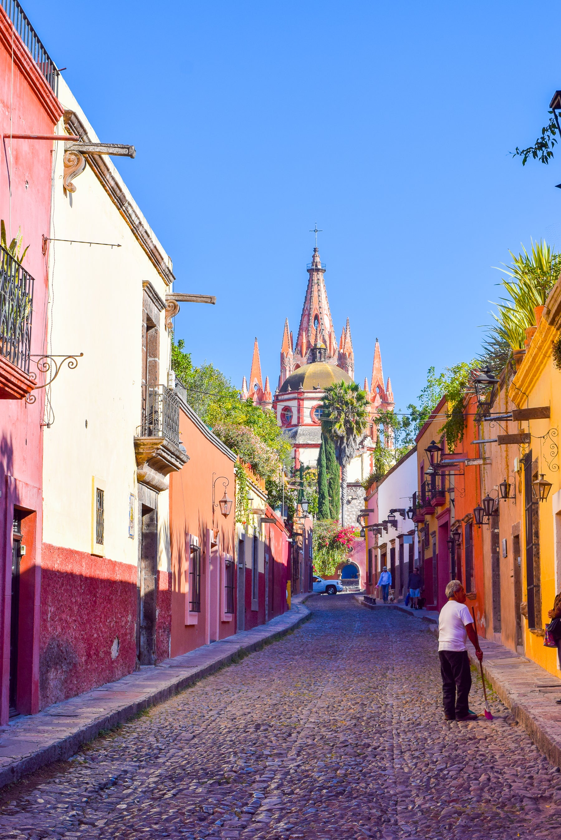 The Beauty of San Miguel de Allende reflected in Stray Dog Designs by Ariel Garneau