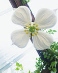 Dogwood Ceiling Light